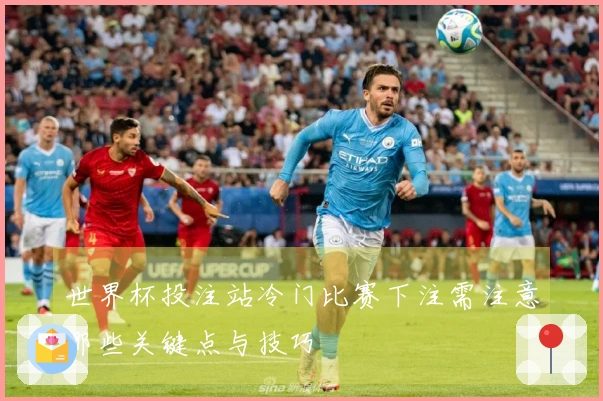 世界杯投注站冷门比赛下注需注意哪些关键点与技巧