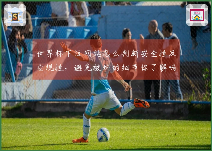 世界杯下注网站怎么判断安全性及合规性，避免被坑的细节你了解吗